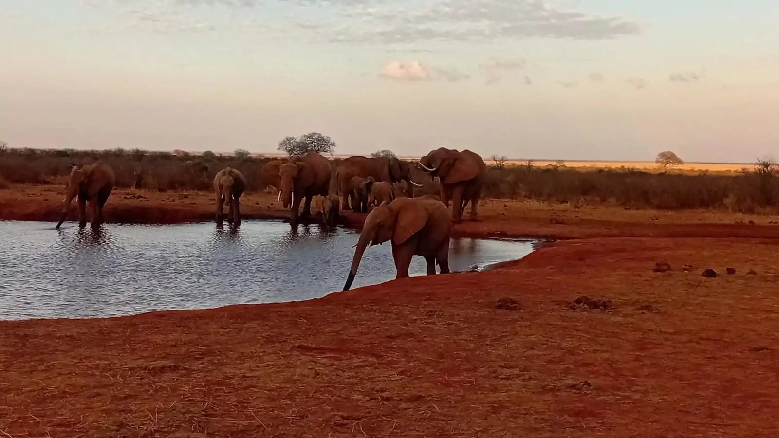2 days tsavo east safari