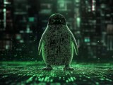 Exploiting The Linux Kernel