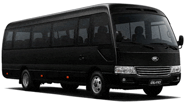 Minibus transfer from Rio airport - up to 22 passengers