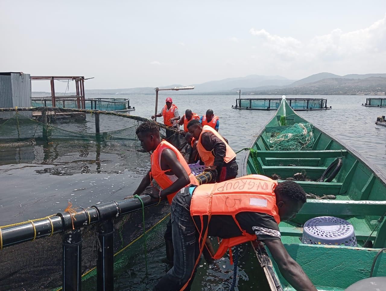 Fish Farmers Take Aquaculture Levy Dispute to Court of Appeal