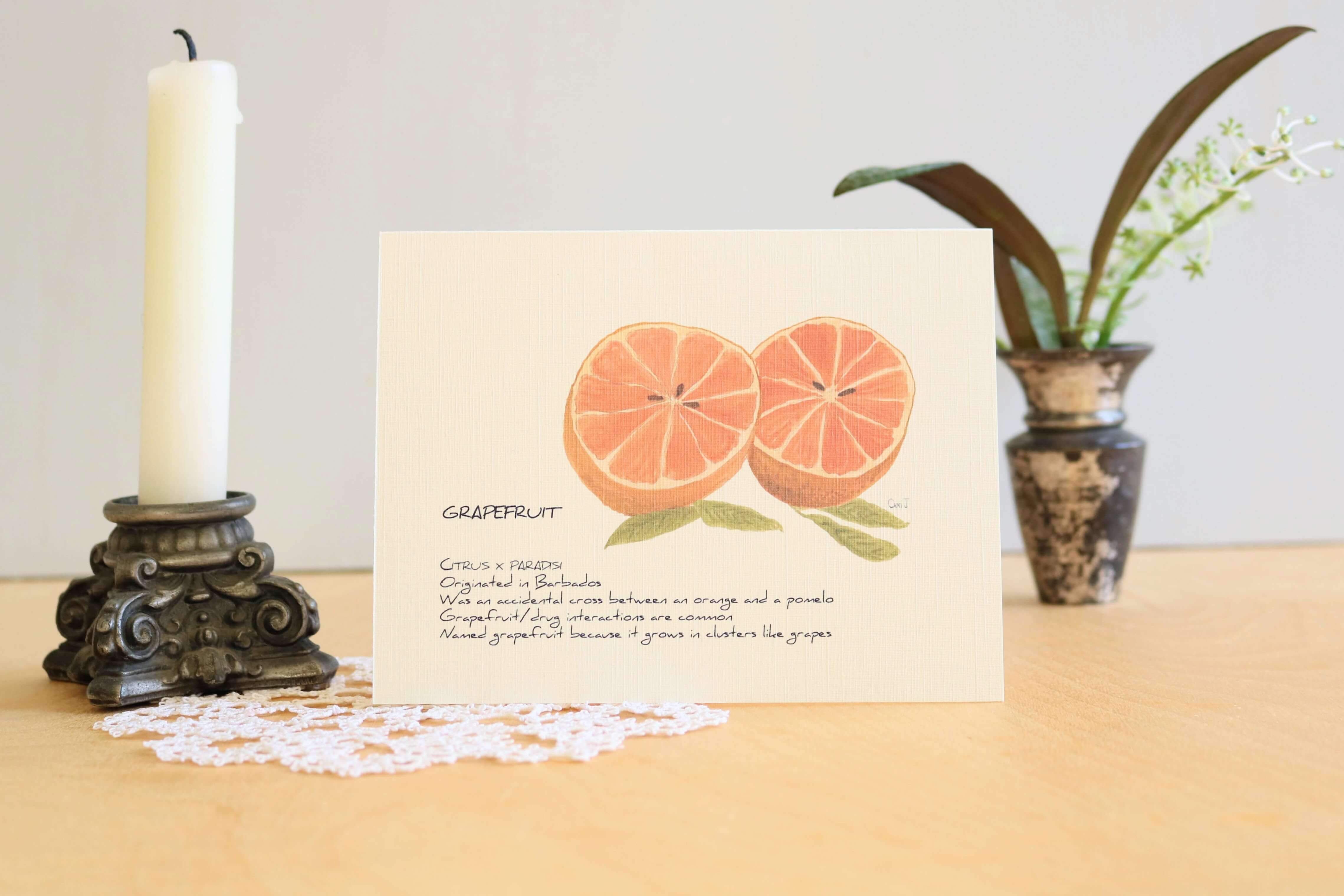 Citrus Fruit 8-Card Set - Ripe and Roasted