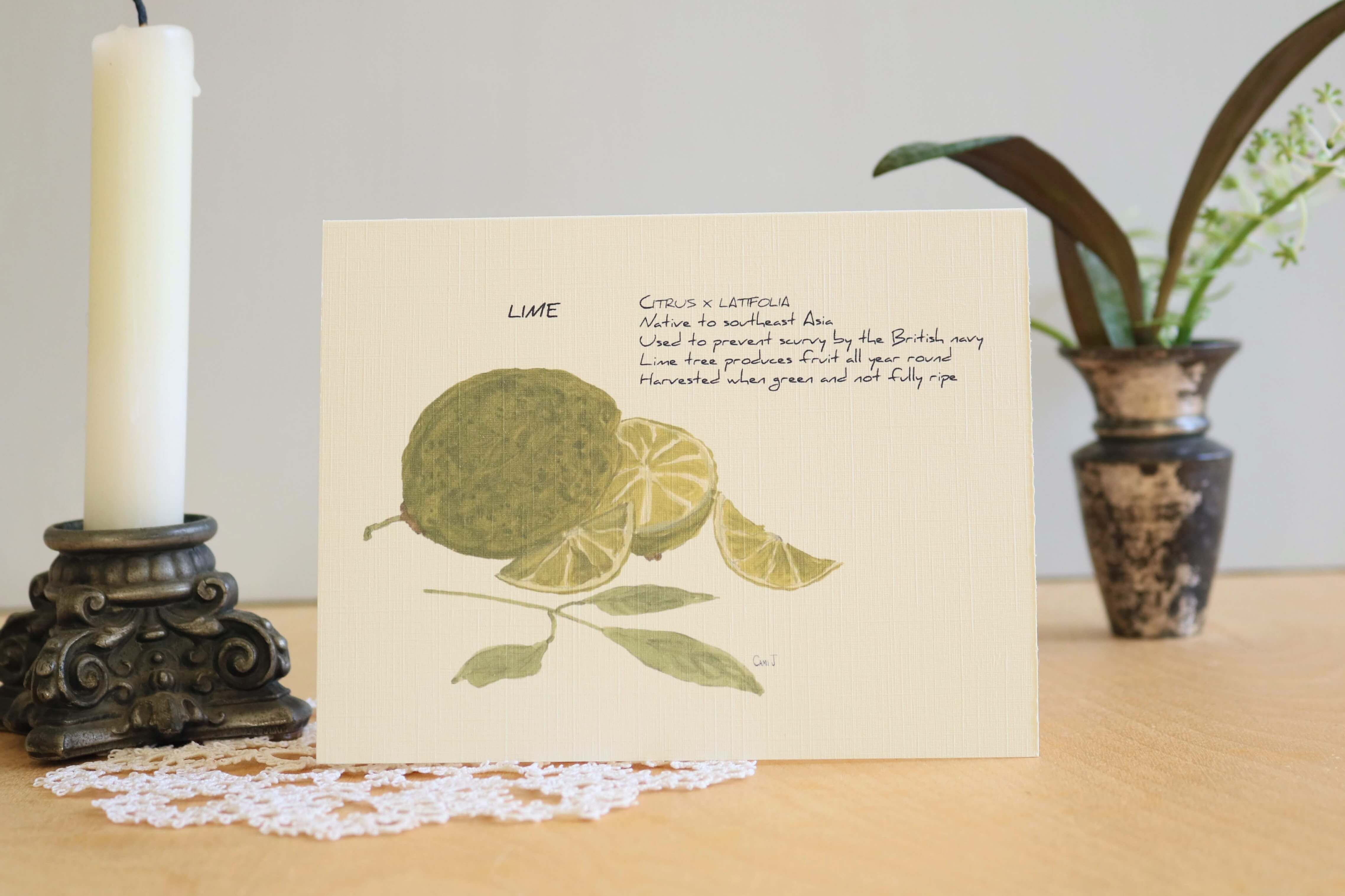 citrus ポストカード セット Citrus Fruit 8-Card Set - Ripe and Roasted