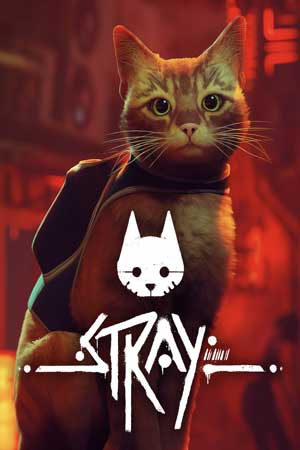Stray Rip