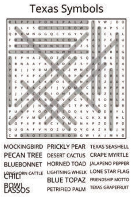 big-texas-solution-001