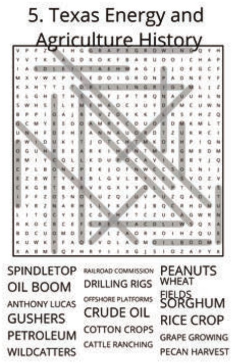 big-texas-solution-005