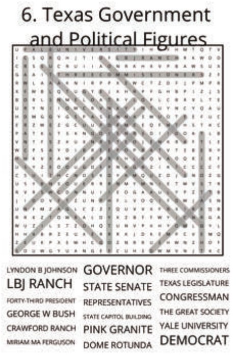 big-texas-solution-006