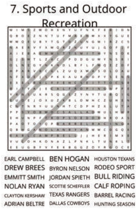 big-texas-solution-007