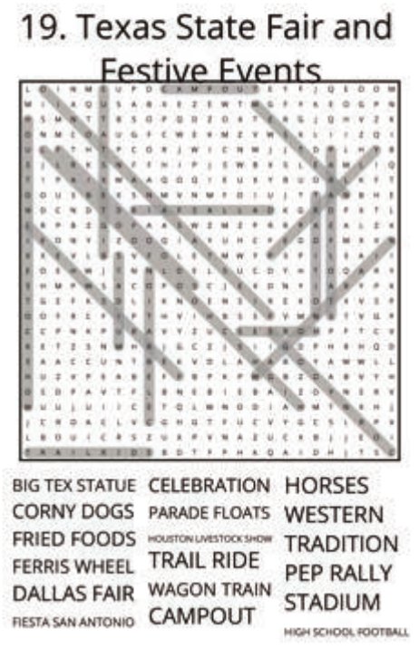 big-texas-solution-019