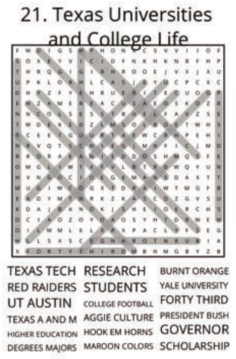 big-texas-solution-021