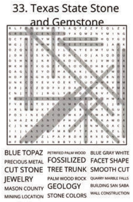 big-texas-solution-033