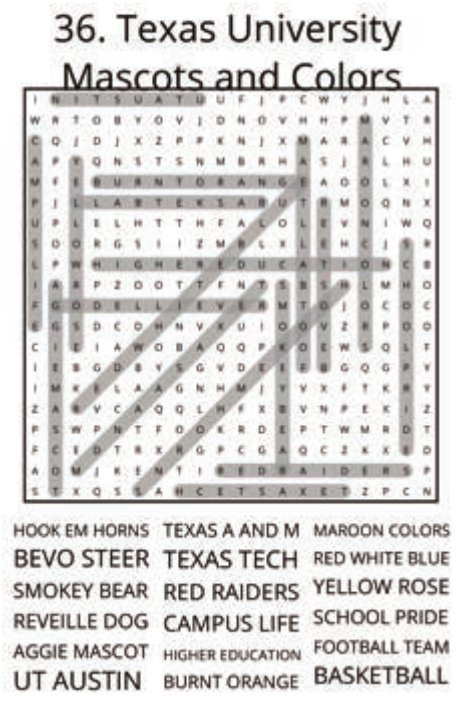 big-texas-solution-036