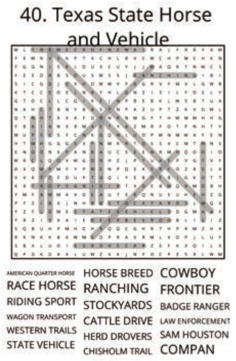 big-texas-solution-040