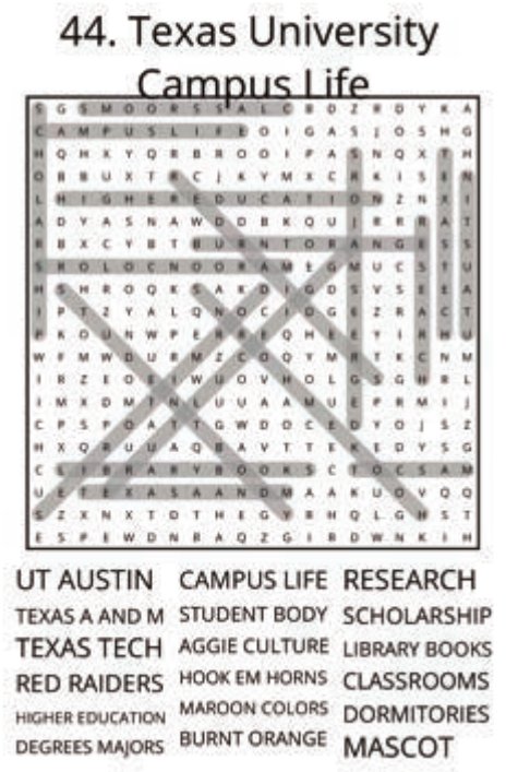 big-texas-solution-044