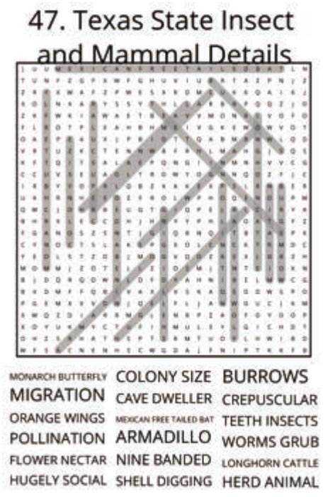 big-texas-solution-047