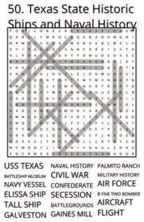 big-texas-solution-050