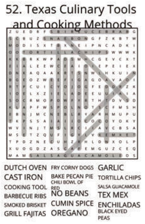 big-texas-solution-052