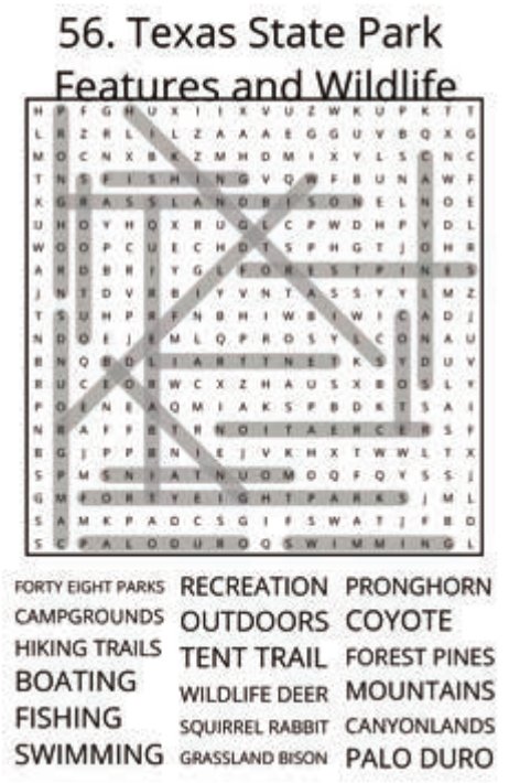big-texas-solution-056