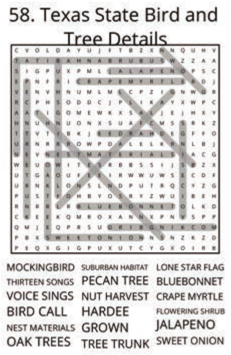 big-texas-solution-058