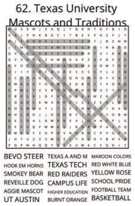 big-texas-solution-062
