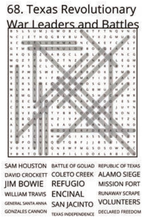 big-texas-solution-068