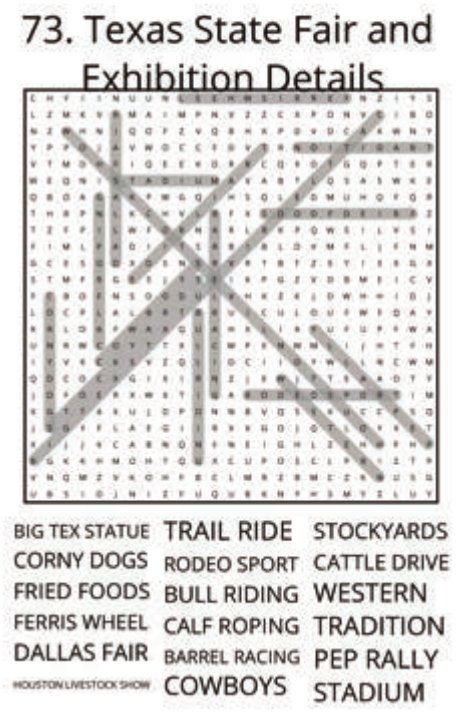 big-texas-solution-073