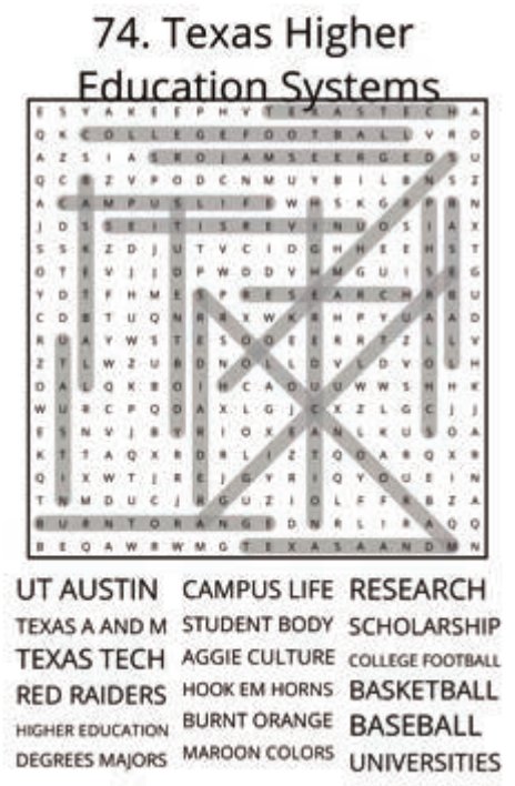 big-texas-solution-074