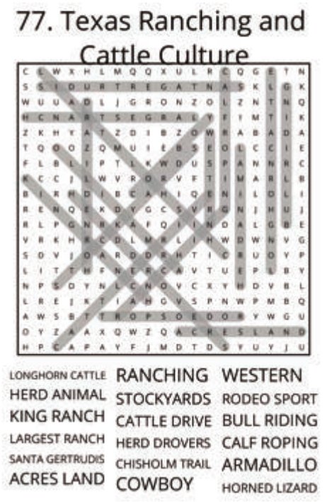 big-texas-solution-077