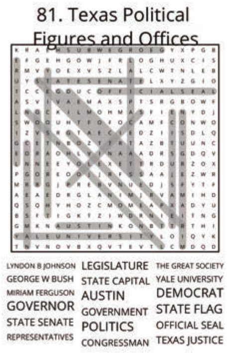 big-texas-solution-081