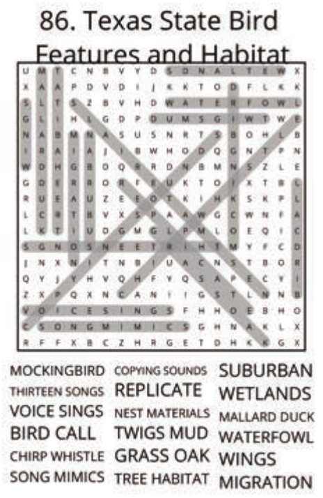big-texas-solution-086