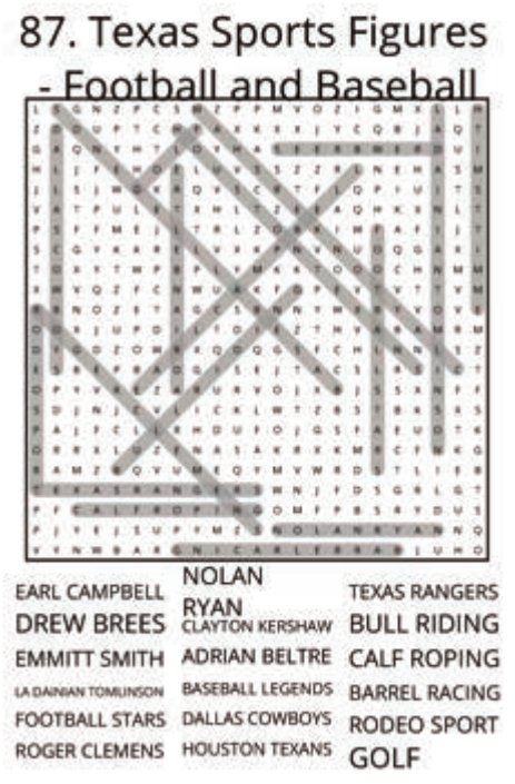 big-texas-solution-087