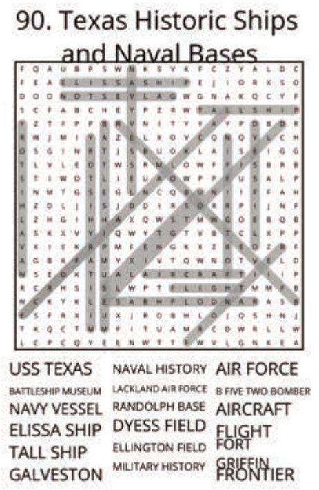 big-texas-solution-090