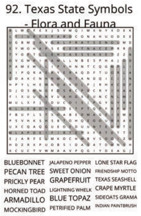 big-texas-solution-092