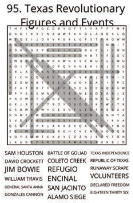 big-texas-solution-095