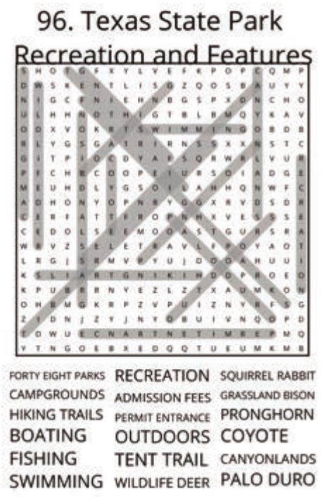 big-texas-solution-096