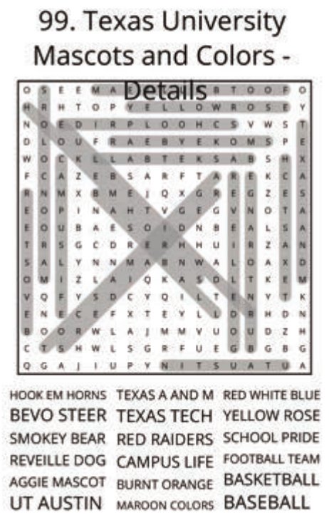 big-texas-solution-099