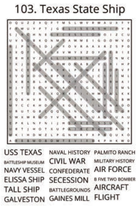 big-texas-solution-103