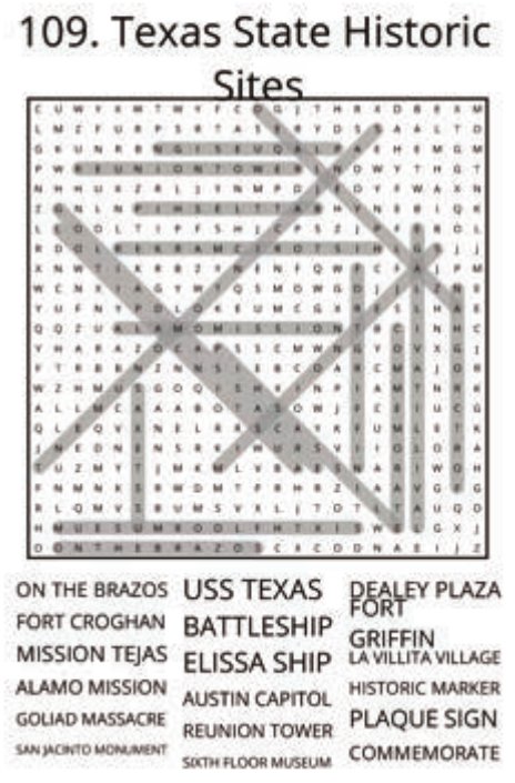 big-texas-solution-109