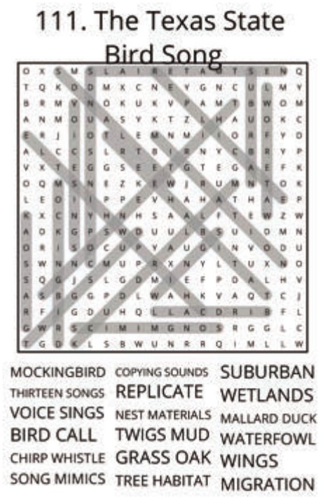 big-texas-solution-111