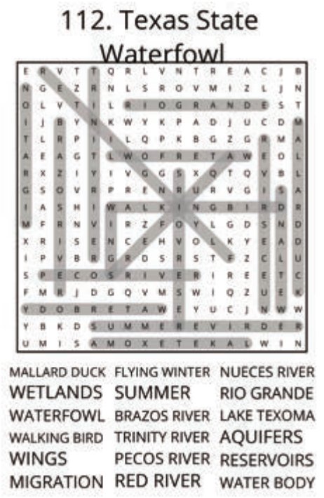 big-texas-solution-112