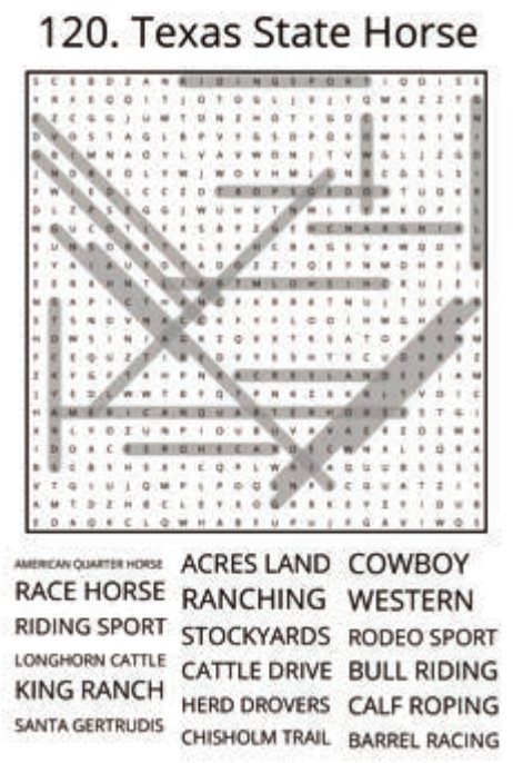 big-texas-solution-120