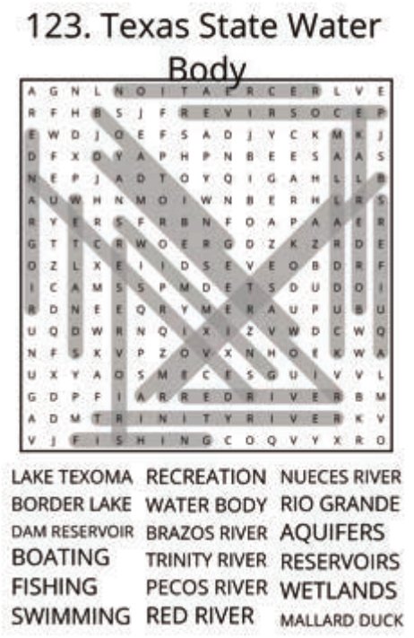 big-texas-solution-123