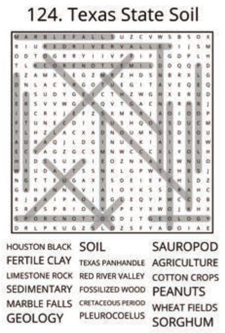 big-texas-solution-124