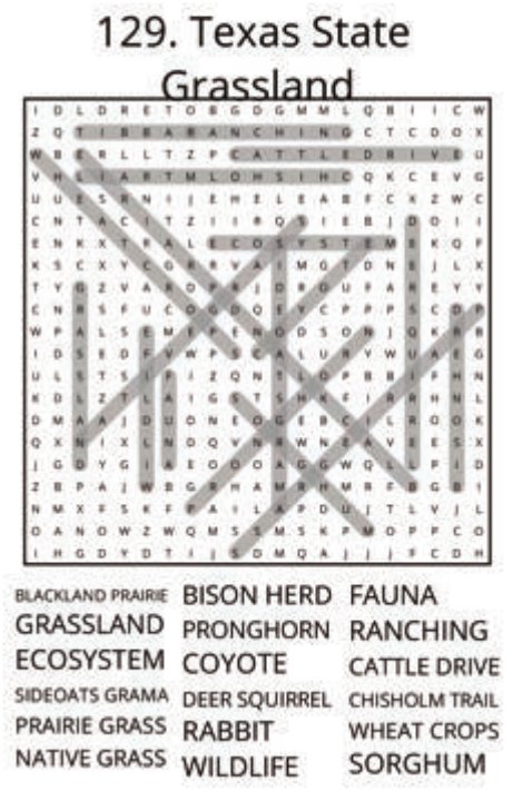 big-texas-solution-129