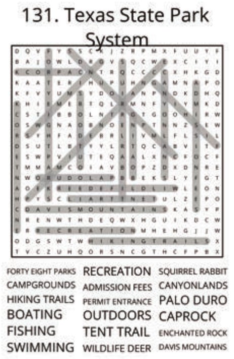 big-texas-solution-131