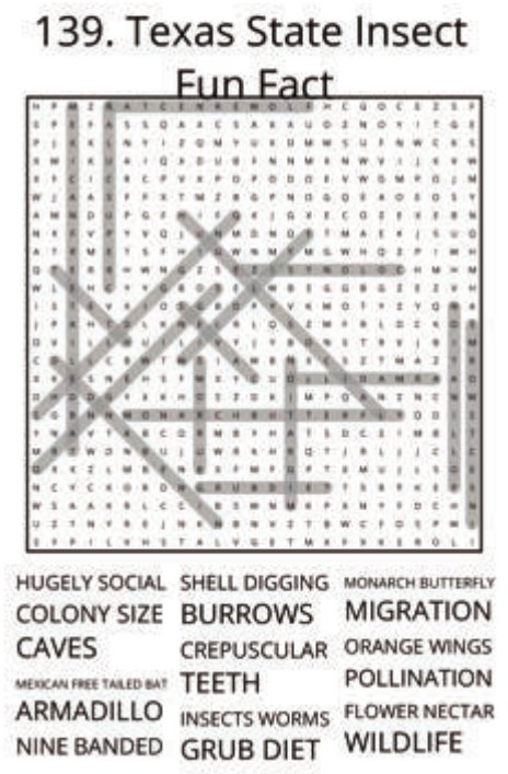 big-texas-solution-139
