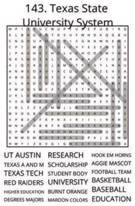 big-texas-solution-143