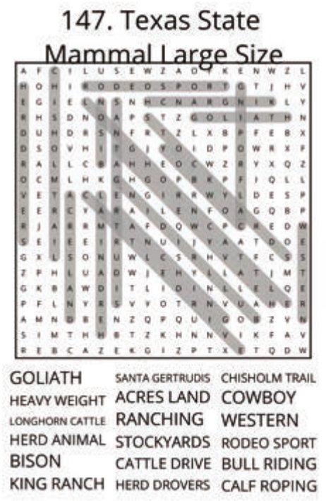 big-texas-solution-147