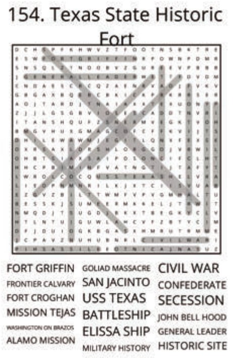 big-texas-solution-154