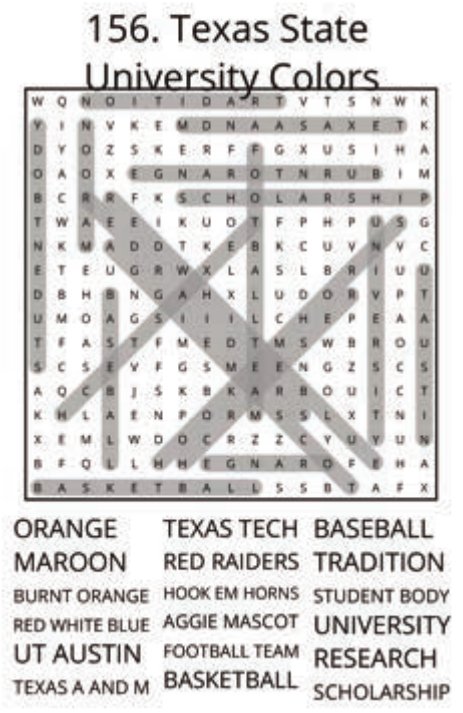 big-texas-solution-156