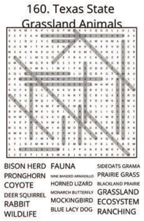 big-texas-solution-160